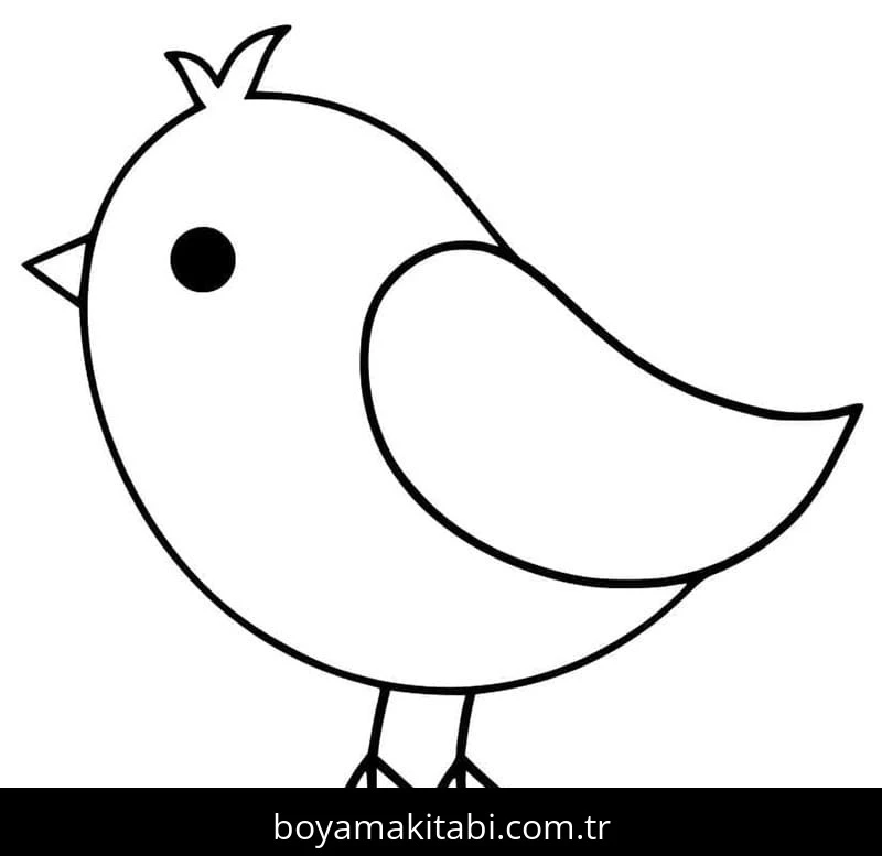 Kuş boyama sayfası – yaratıcılığı geliştirir, keyifli zaman
