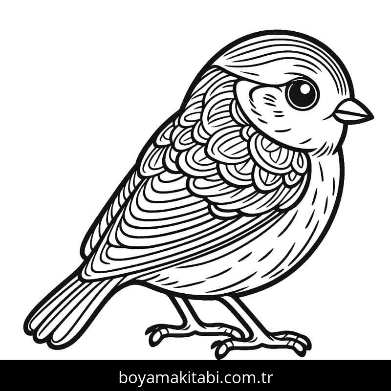 Kuş boyama sayfası – eğlenceli etkinlik, el becerilerini geliştirir