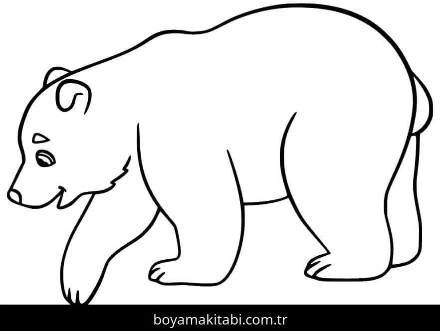 Kutup ayısı boyama sayfası – renkli çizimler, okul öncesi