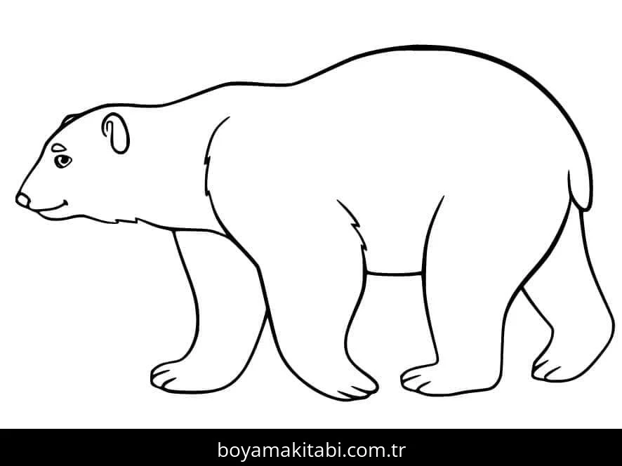 Kutup ayısı boyama sayfası – sanatsal çalışma, çocuklar için