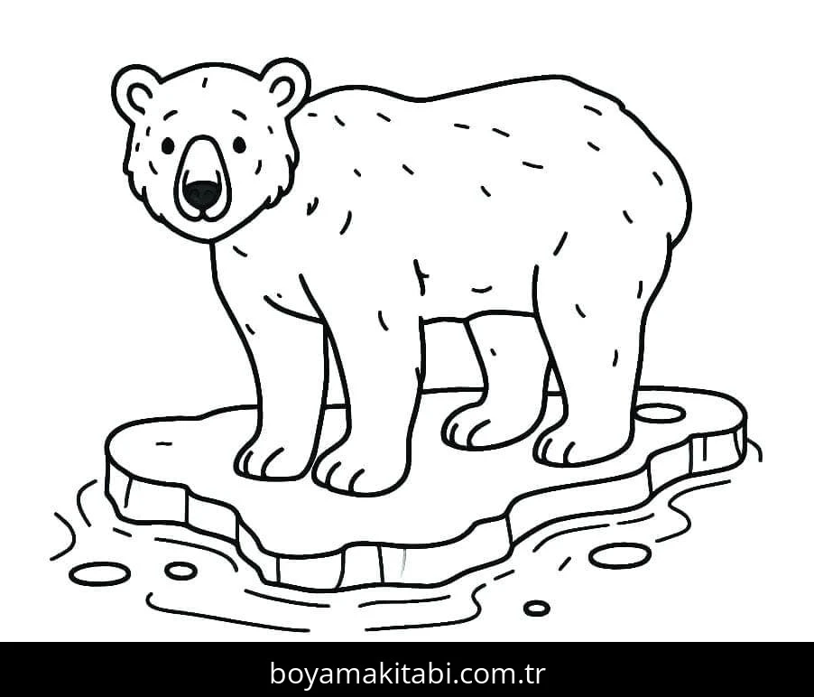 Kutup ayısı boyama sayfası – boyama çalışması, yaratıcılığı geliştirir