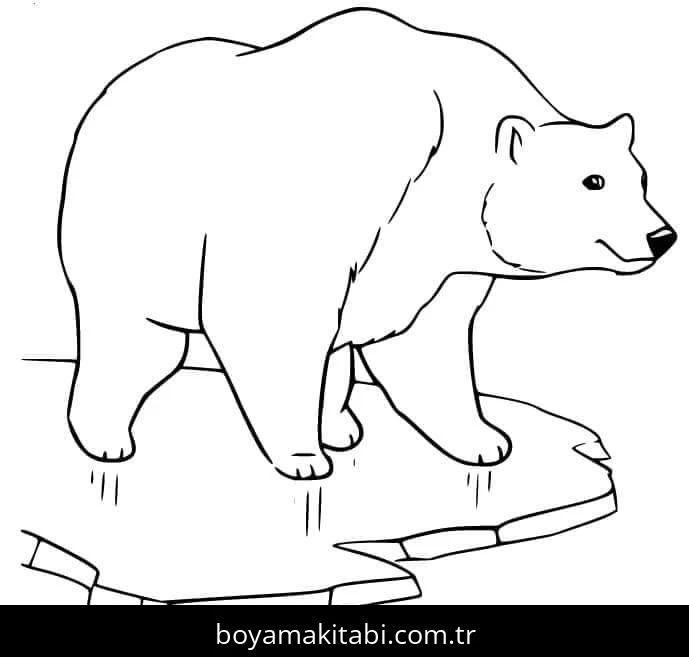 Kutup ayısı boyama sayfası – çizgi film temalı, basit çizim