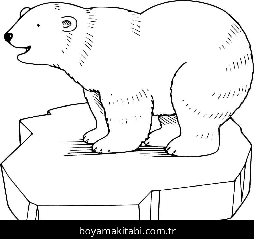 Kutup ayısı boyama sayfası – eğitici aktivite, yaratıcılık