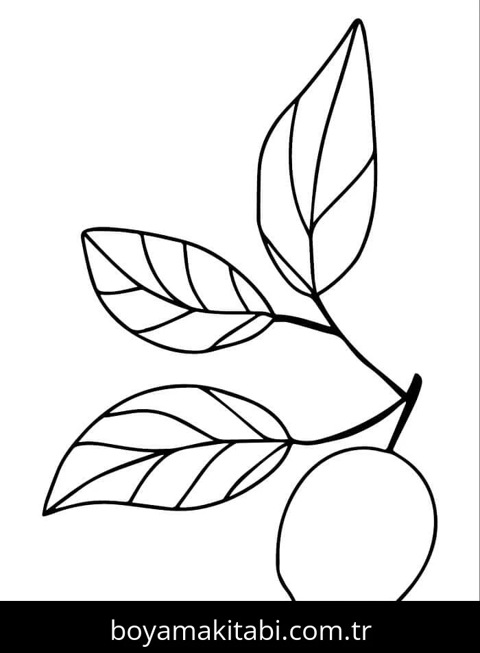 Limon boyama sayfası – eğitici aktivite, yaratıcılık