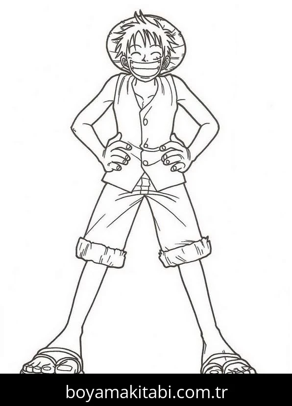 Luffy Boyama