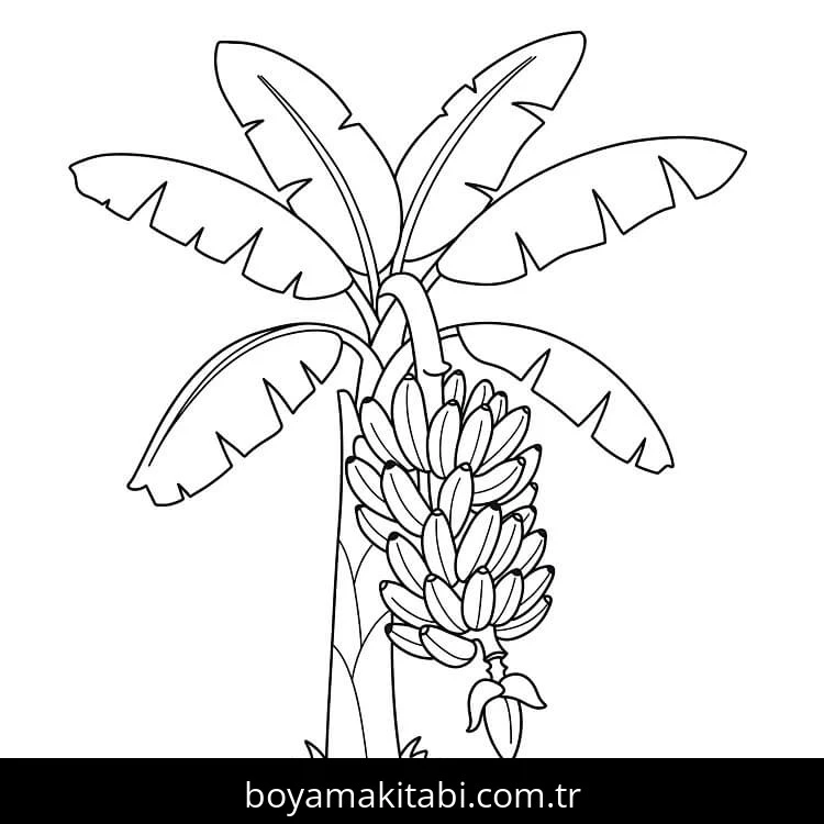 Muz boyama sayfası – keyifli zaman, renkli çizimler