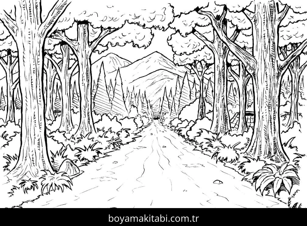 Orman boyama sayfası – okul öncesi, evde etkinlik