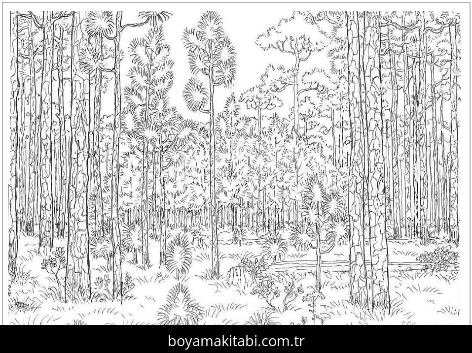 Orman boyama sayfası – sevimli karakter, sanatsal çalışma