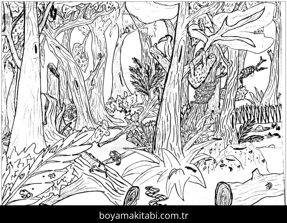 Orman boyama sayfası – çocuklar için, çizgi film temalı
