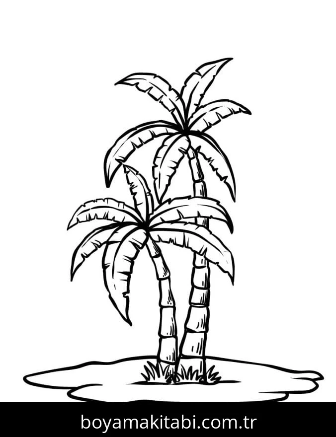 Palmiye Ağacı boyama sayfası – ücretsiz yazdır, boyama etkinliği