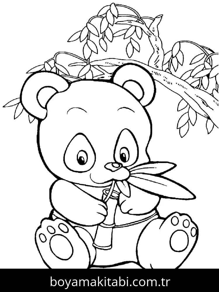 Panda boyama sayfası – renkli çizimler, okul öncesi
