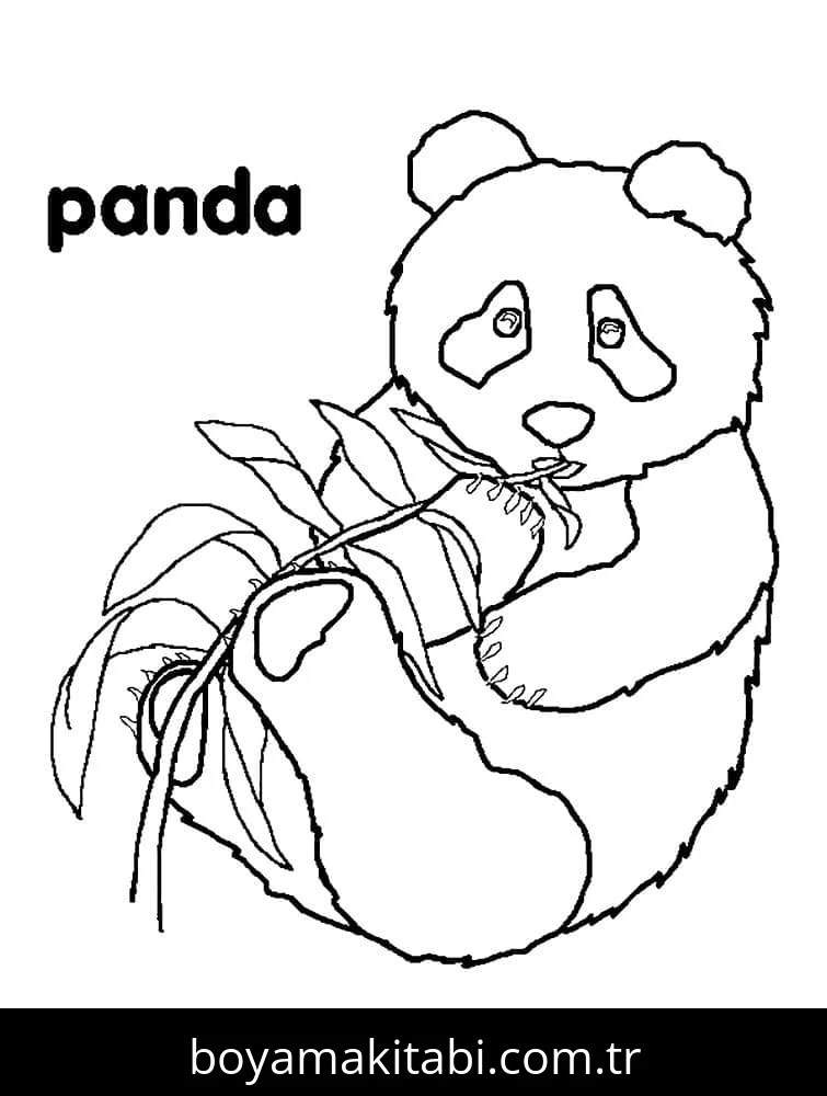 Panda boyama sayfası – sanatsal çalışma, çocuklar için