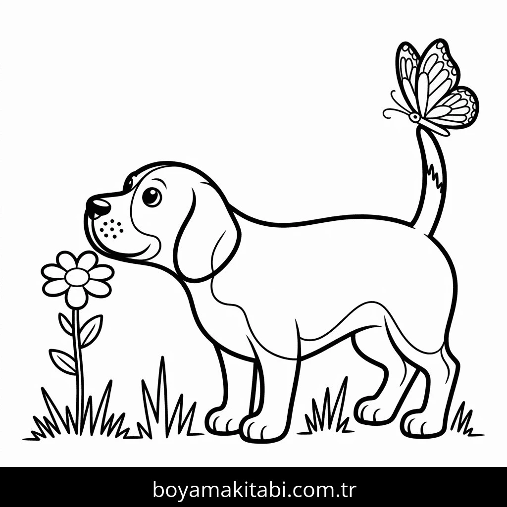 Köpek boyama sayfası #736 – basit çizim, yaz tatili etkinliği