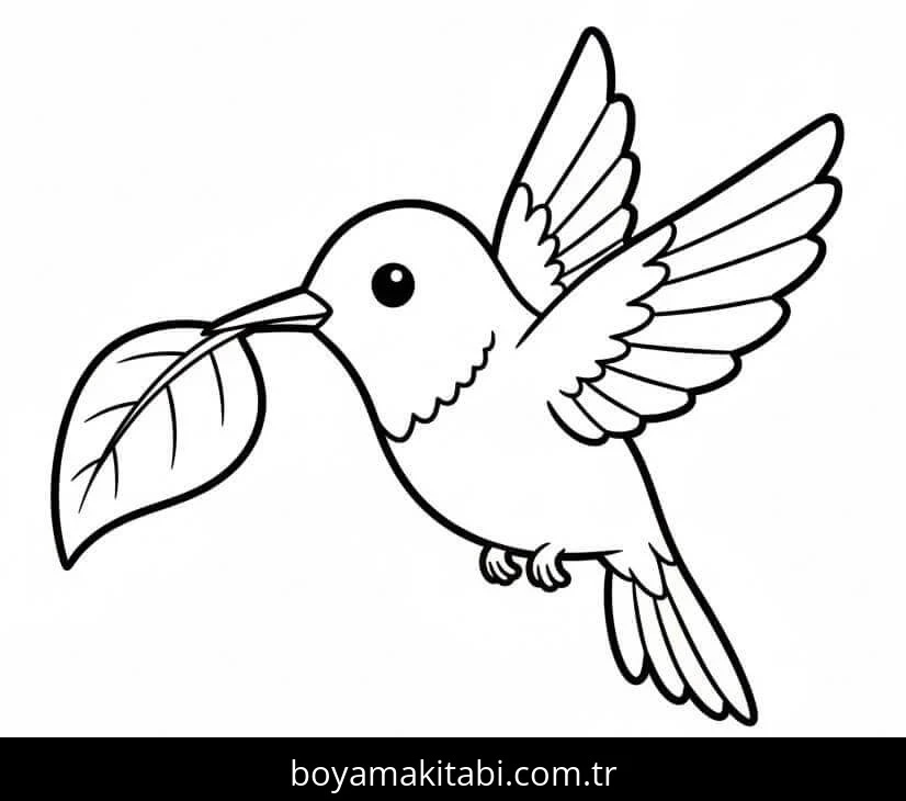Sinek Kuşu boyama sayfası – yaratıcılık, eğlenceli etkinlik