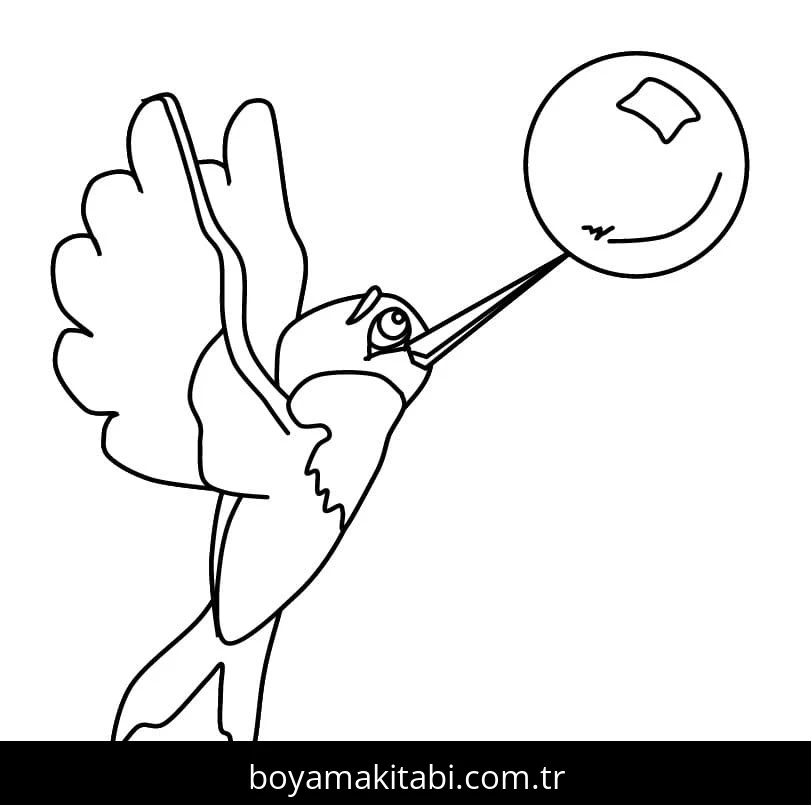 Sinek Kuşu boyama sayfası – boyama çalışması, yaratıcılığı geliştirir