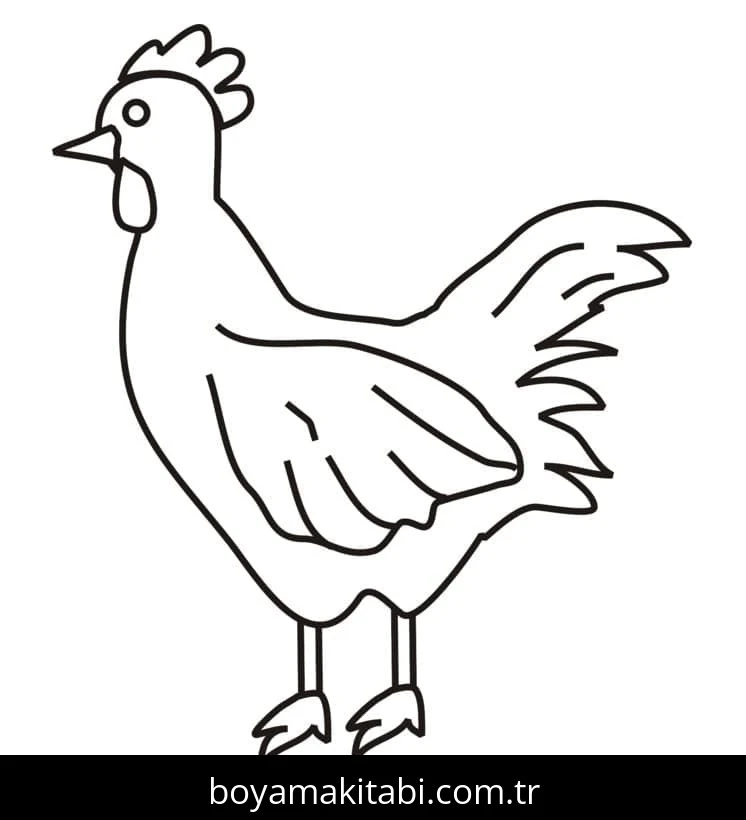 Tavuk boyama sayfası – boyama çalışması, yaratıcılığı geliştirir