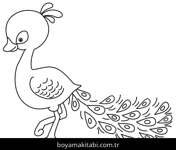 Tavus Kuşu boyama sayfası – renkli çizimler, okul öncesi