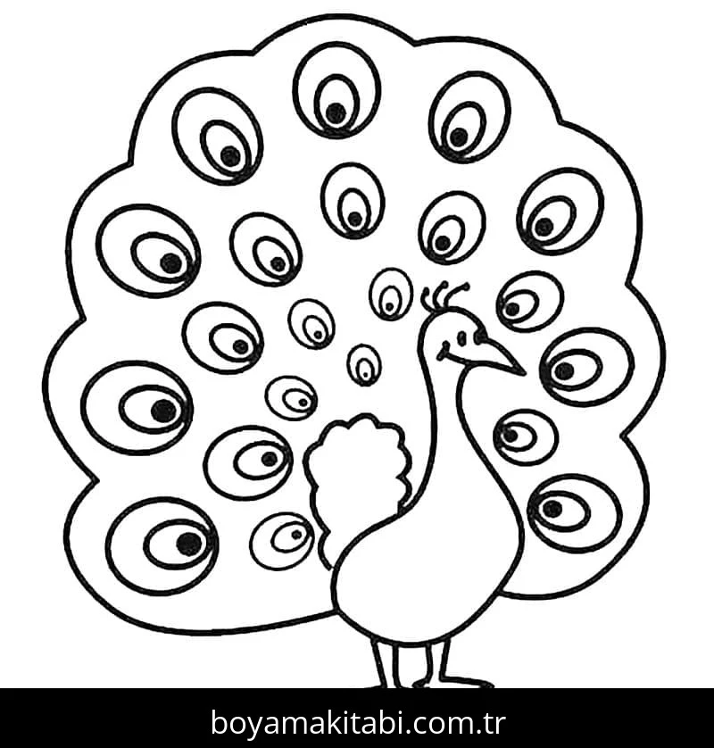 Tavus Kuşu Boyama