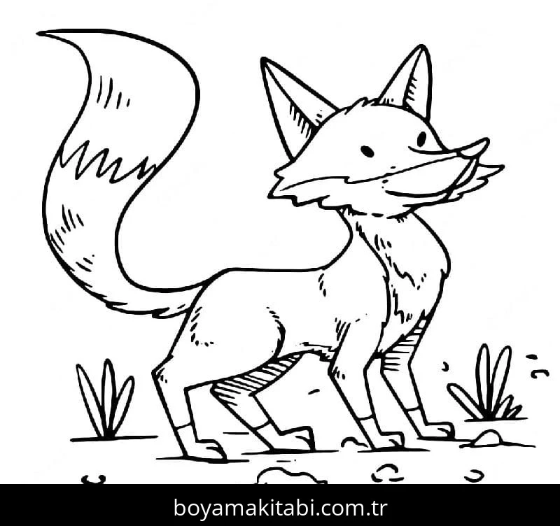 Tilki boyama sayfası – eğitici aktivite, yaratıcılık