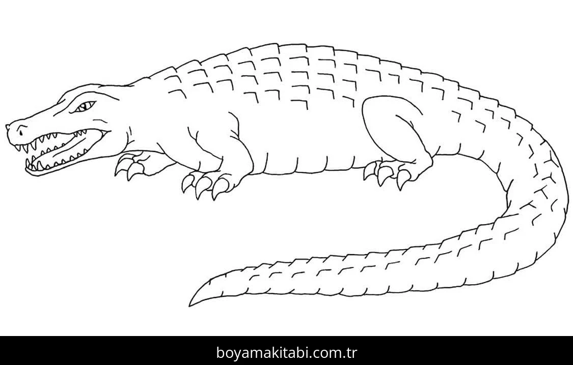 Timsah boyama sayfası – basit çizim, kolay boyama