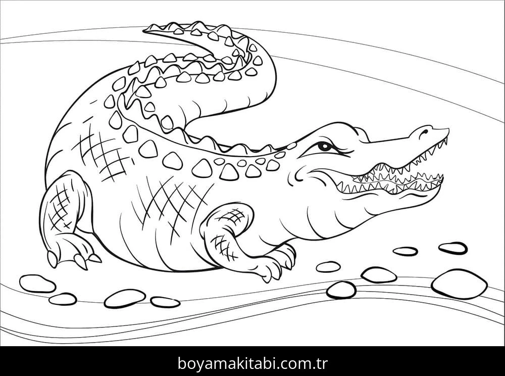 Timsah boyama sayfası – kolay boyama, eğitici aktivite