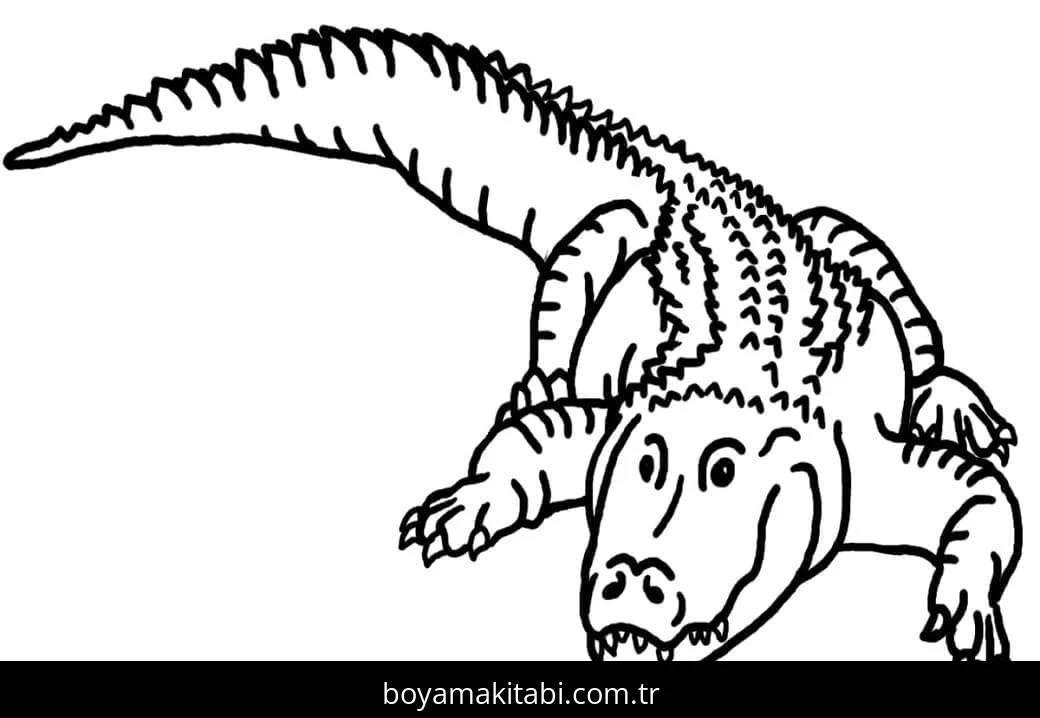Timsah boyama sayfası – eğlenceli etkinlik, el becerilerini geliştirir