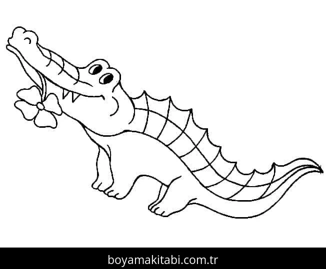Timsah boyama sayfası – eğitici aktivite, yaratıcılık