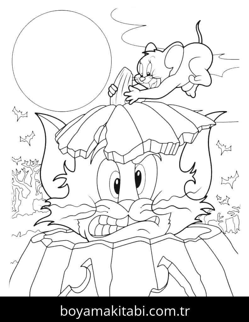 Tom Ve Jerry Boyama