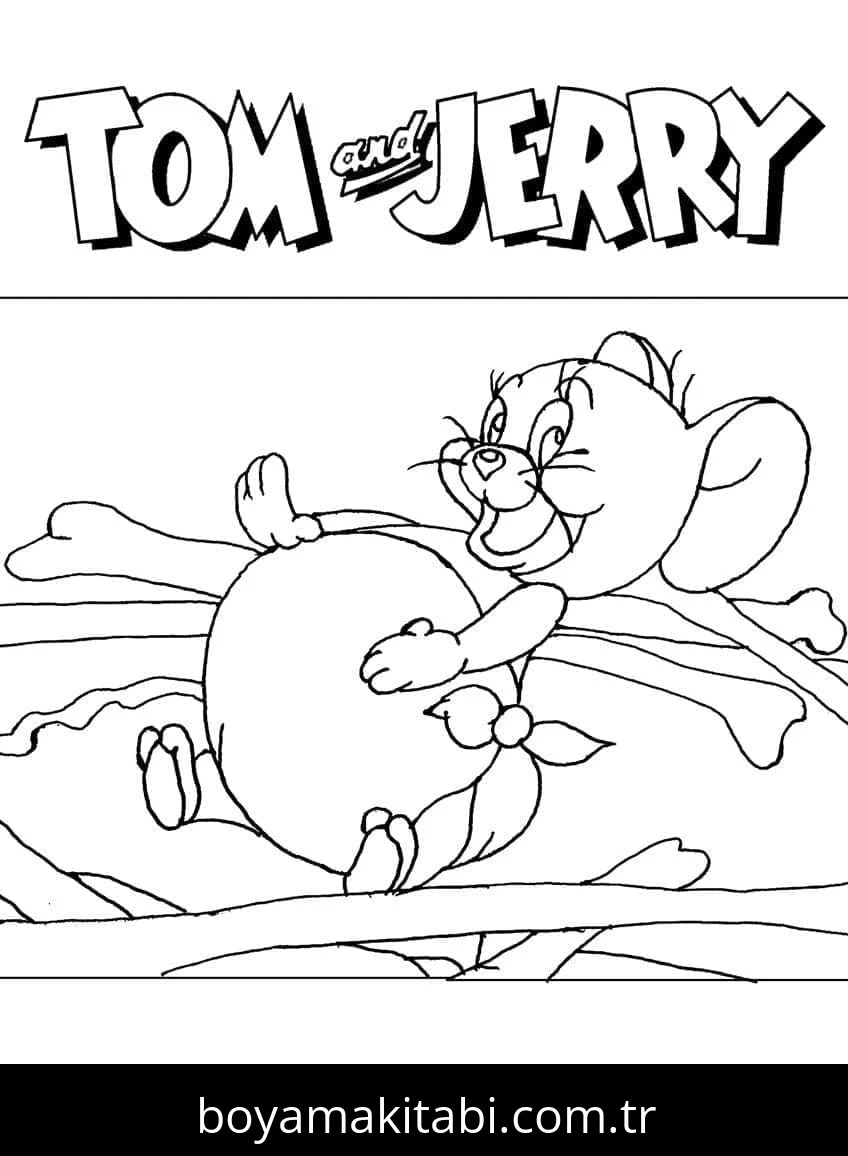 Tom Ve Jerry Boyama