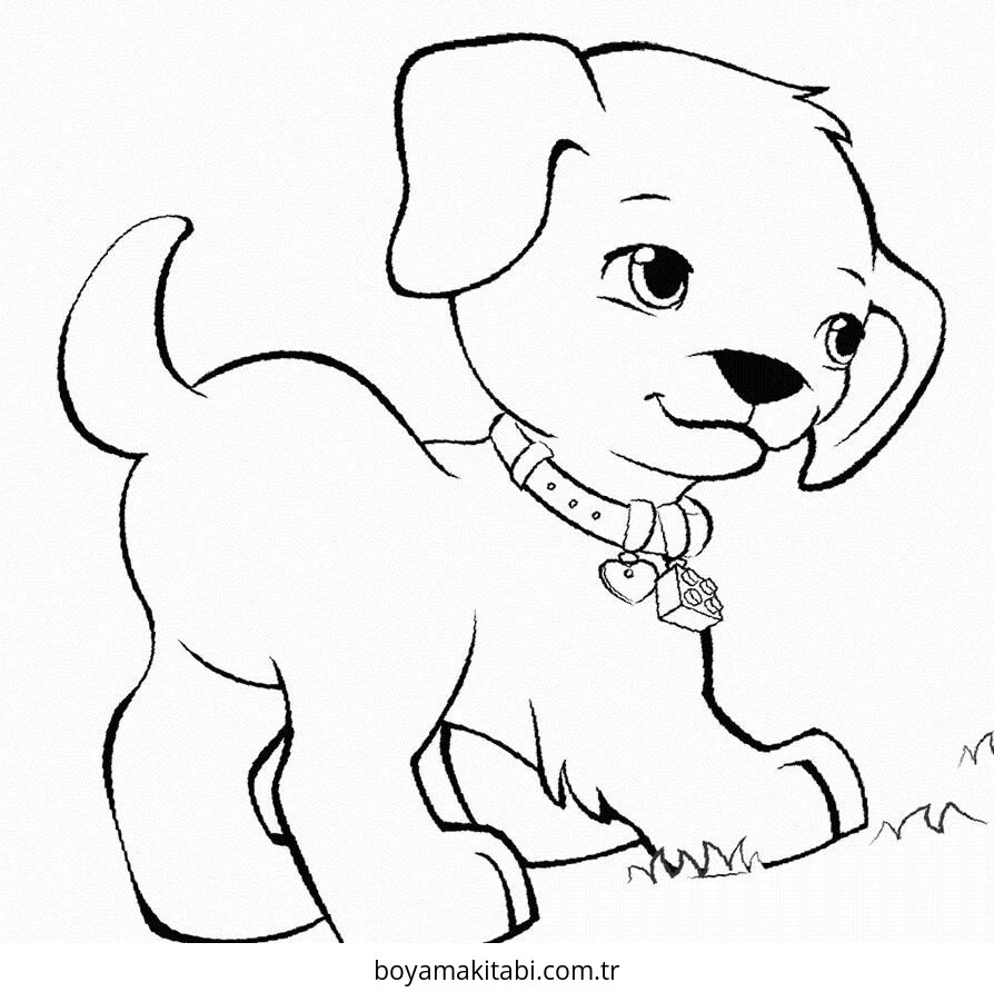 Köpek boyama sayfası #764 – eğitici aktivite, yaratıcılık