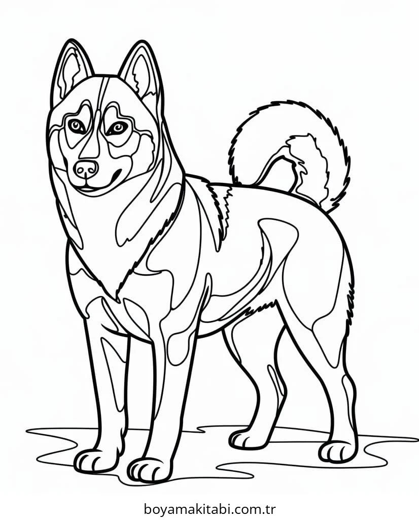 Köpek boyama sayfası #766 – keyifli zaman, renkli çizimler