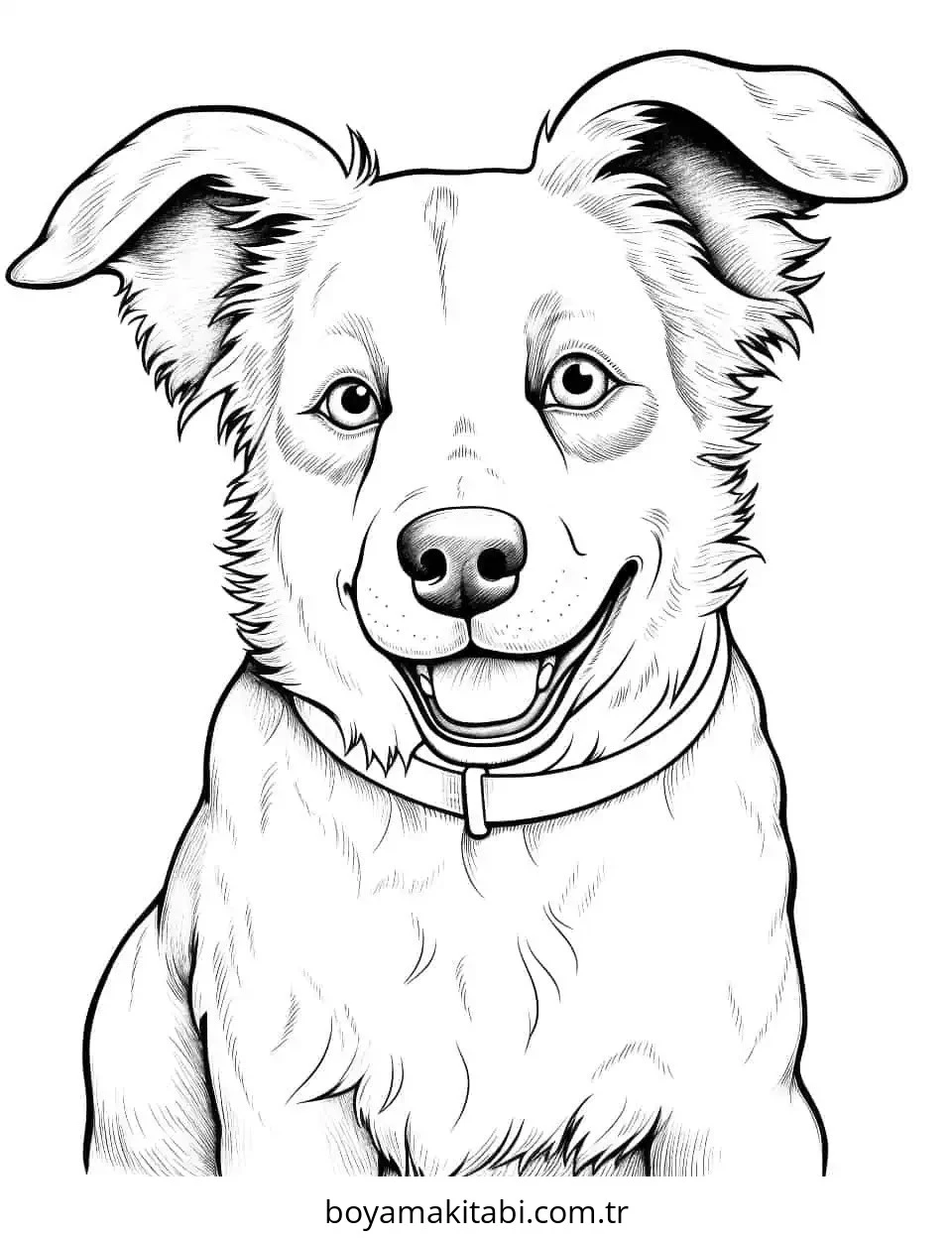Köpek boyama sayfası #775 – ilkokul öğrencileri için, hayal gücünü besler