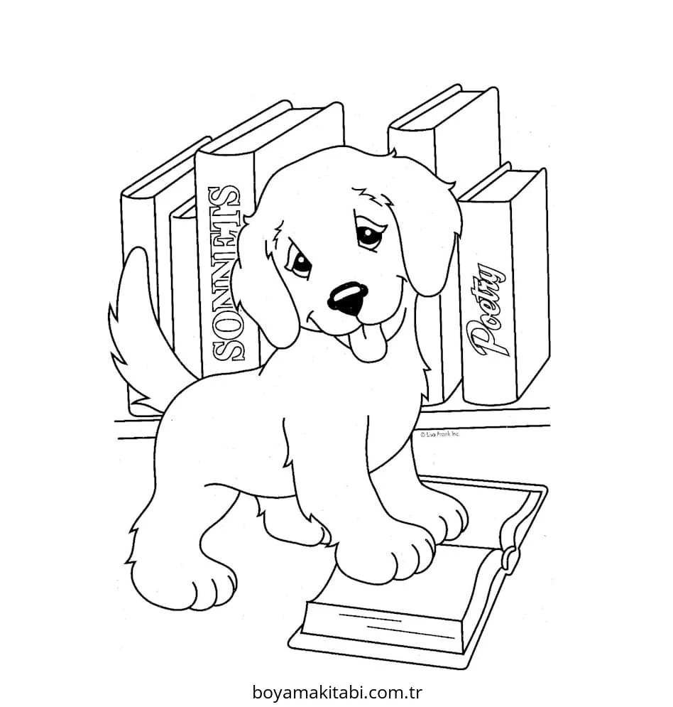 Köpek boyama sayfası #784 – sabır ve özgüven kazandırır, yaratıcı sanat çalışması