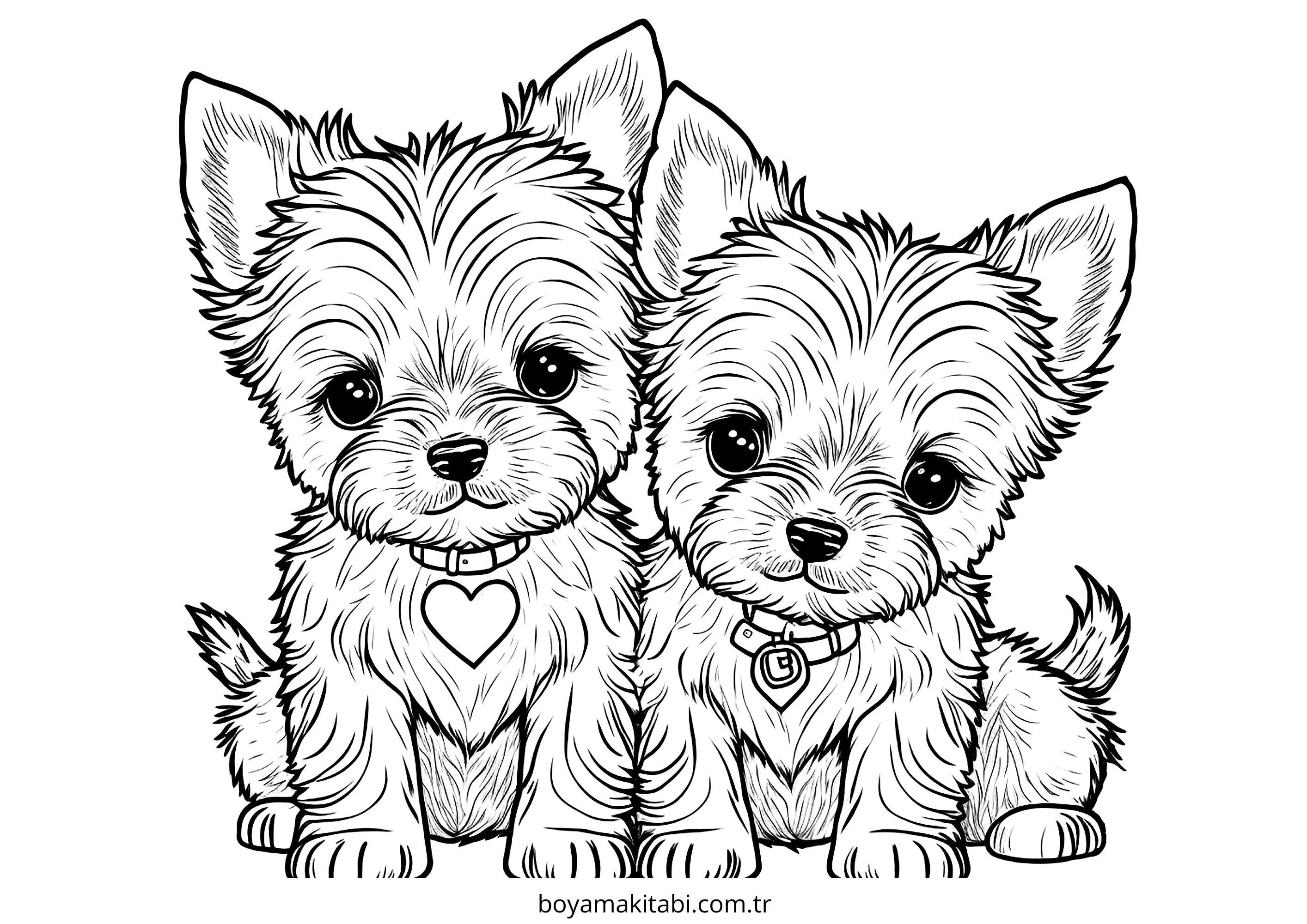 Köpek boyama sayfası #800 – okul öncesi, evde etkinlik