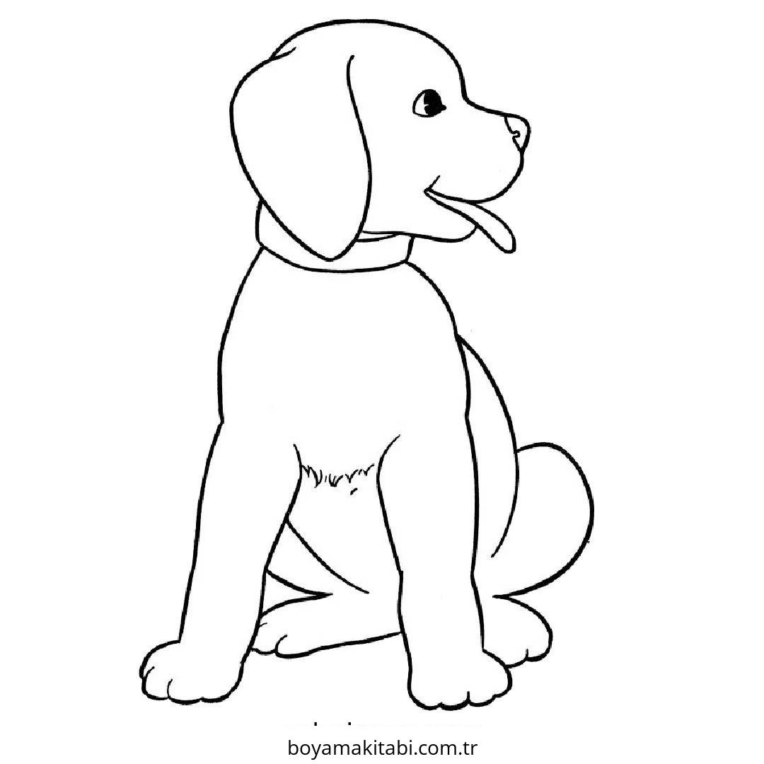Köpek boyama sayfası #802 – sevimli karakter, sanatsal çalışma