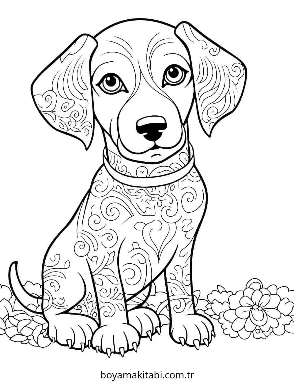 Köpek boyama sayfası #808 – çocuk aktivitesi, ilkokul öğrencileri için