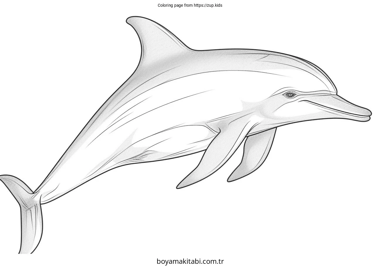 Yunus boyama sayfası – evde etkinlik, ücretsiz yazdır