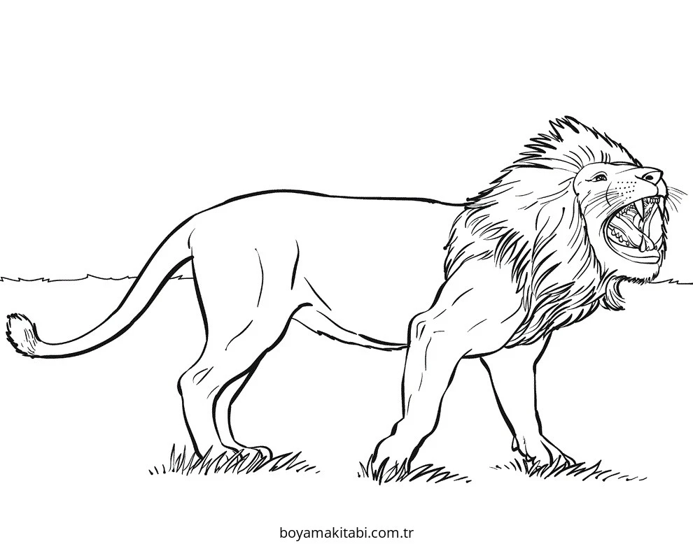 Aslan boyama sayfası – el becerilerini geliştirir, boyama çalışması