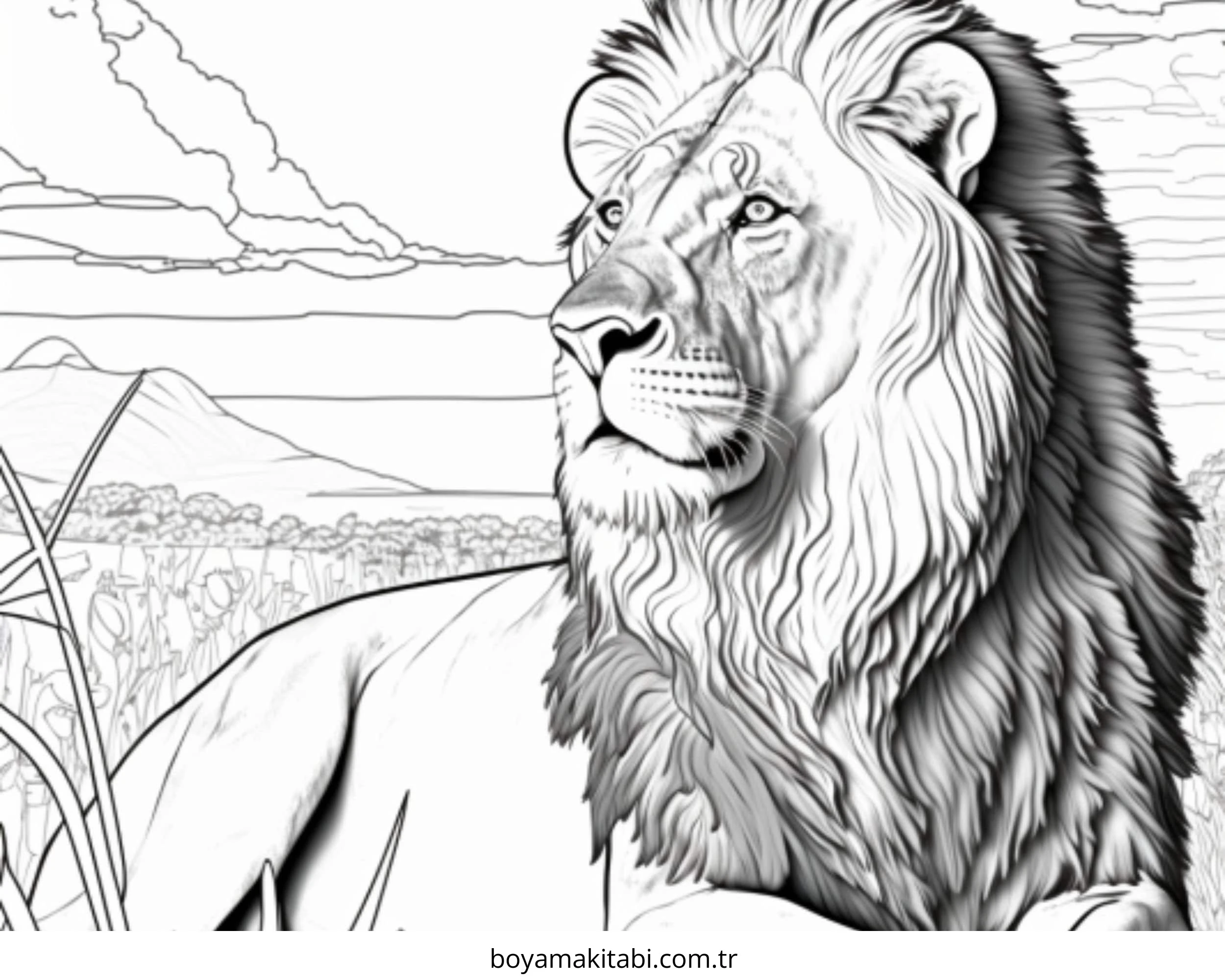 Aslan boyama sayfası – keyifli zaman, renkli çizimler