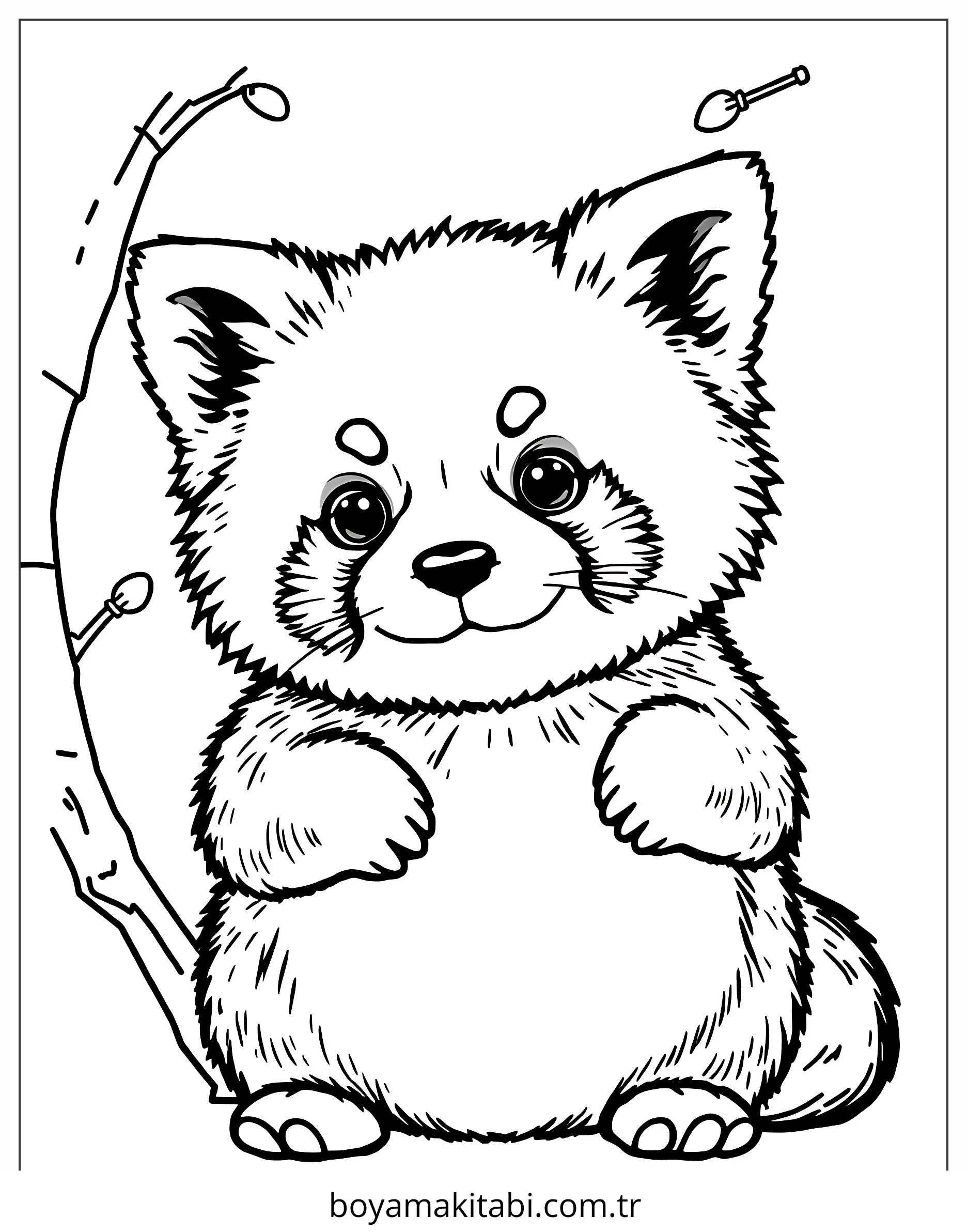 Panda boyama sayfası – boyama çalışması, yaratıcılığı geliştirir