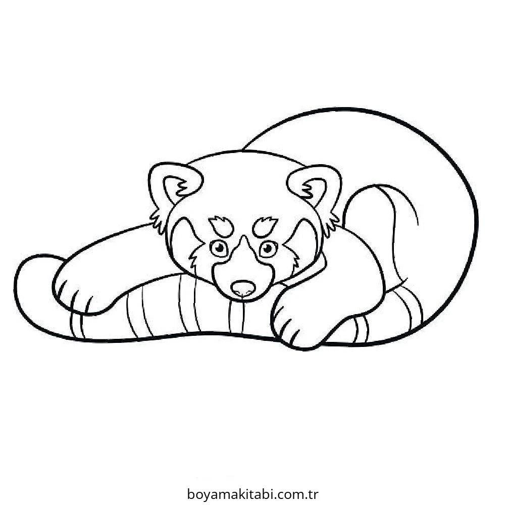 Panda boyama sayfası – sevimli karakter, sanatsal çalışma