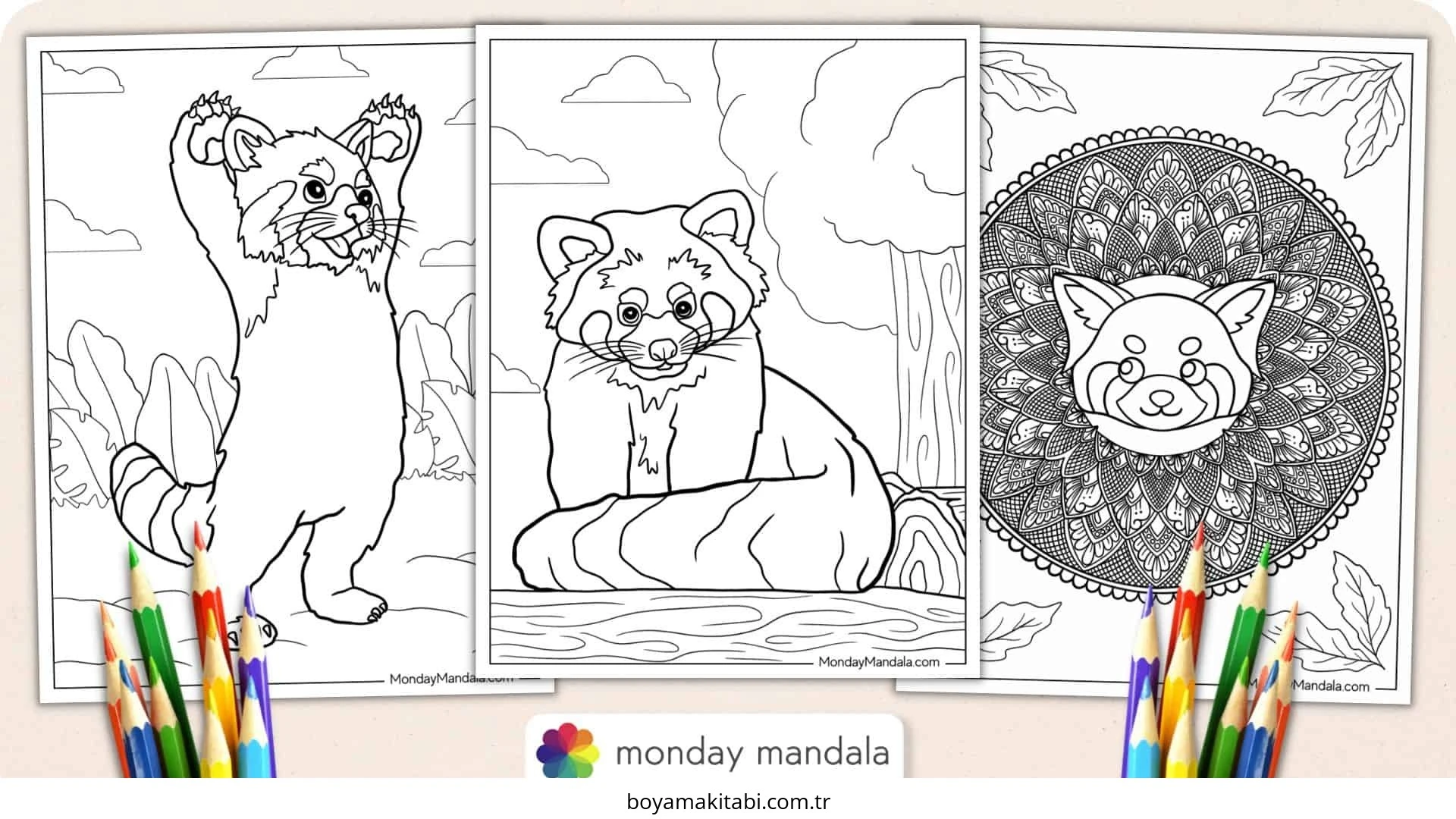 Panda boyama sayfası – çocuk aktivitesi, PDF indir