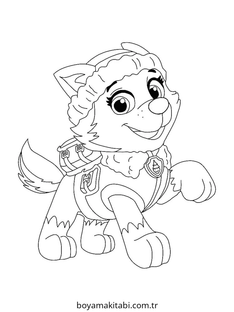 Paw Patrol boyama sayfası – boyama çalışması, yaratıcılığı geliştirir