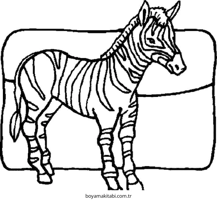 Zebra boyama sayfası – sanatsal çalışma, çocuklar için