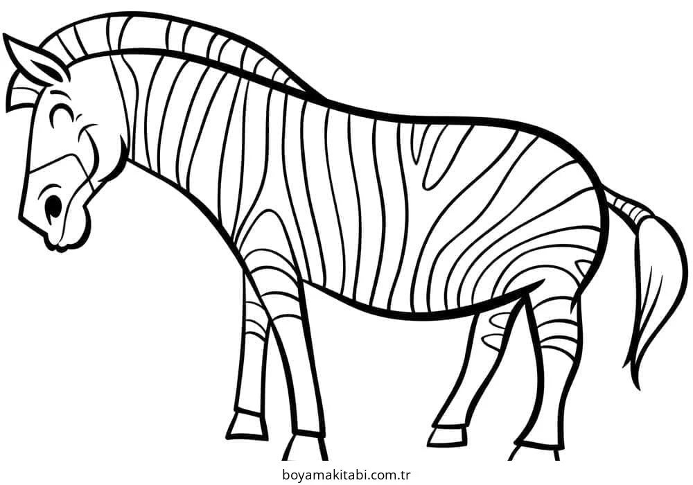 Zebra boyama sayfası – sanatsal çalışma, çocuklar için