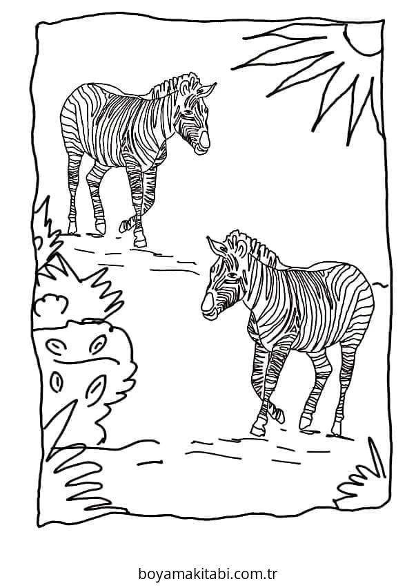 Zebra boyama sayfası – basit çizim, kolay boyama