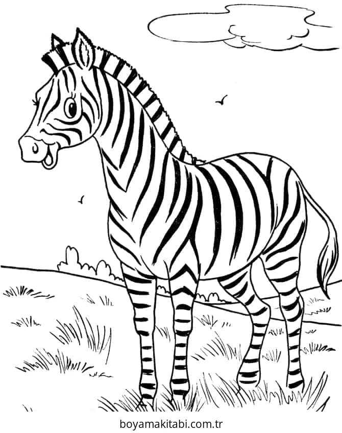Zebra boyama sayfası – renkli çizimler, okul öncesi