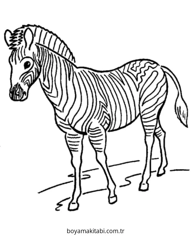 Zebra boyama sayfası – PDF indir, sevimli karakter