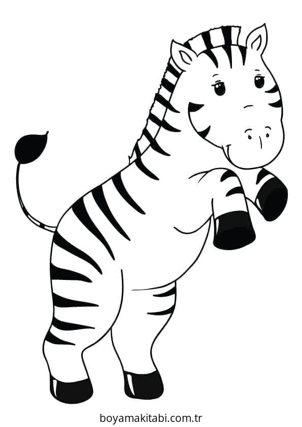 Zebra boyama sayfası – eğitici aktivite, yaratıcılık