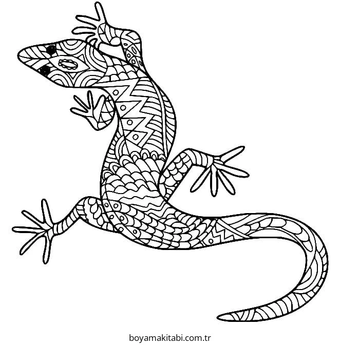Zentangle boyama sayfası – kolay boyama, eğitici aktivite